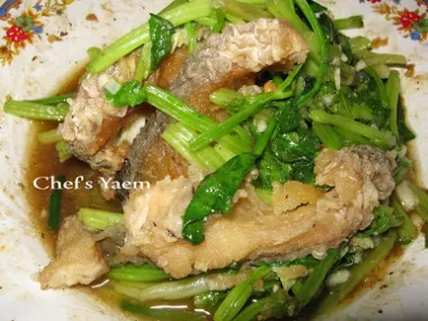 Stir Fried Fish with Chinese Celery (Pla pad kuen-Shai)